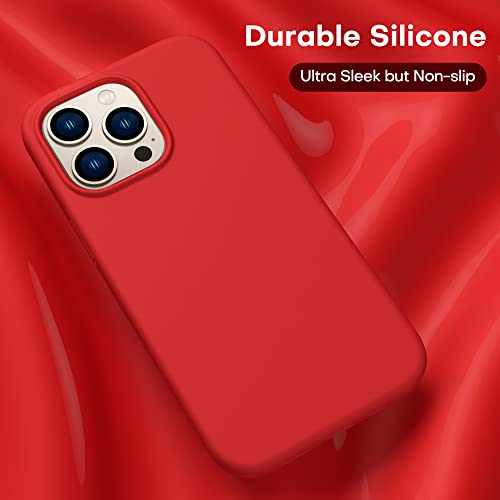 Durable Silicone for iPhone 13 Pro Max with Glass Screen Protectors