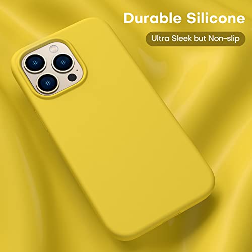 Durable Silicone for iPhone 13 Pro Max with Glass Screen Protectors