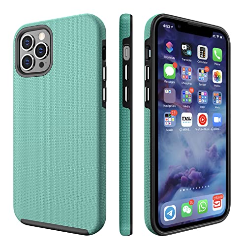 CellEver Dual Guard Case for iPhone 12 /iPhone 12 Pro